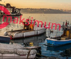 beykoz dell servis